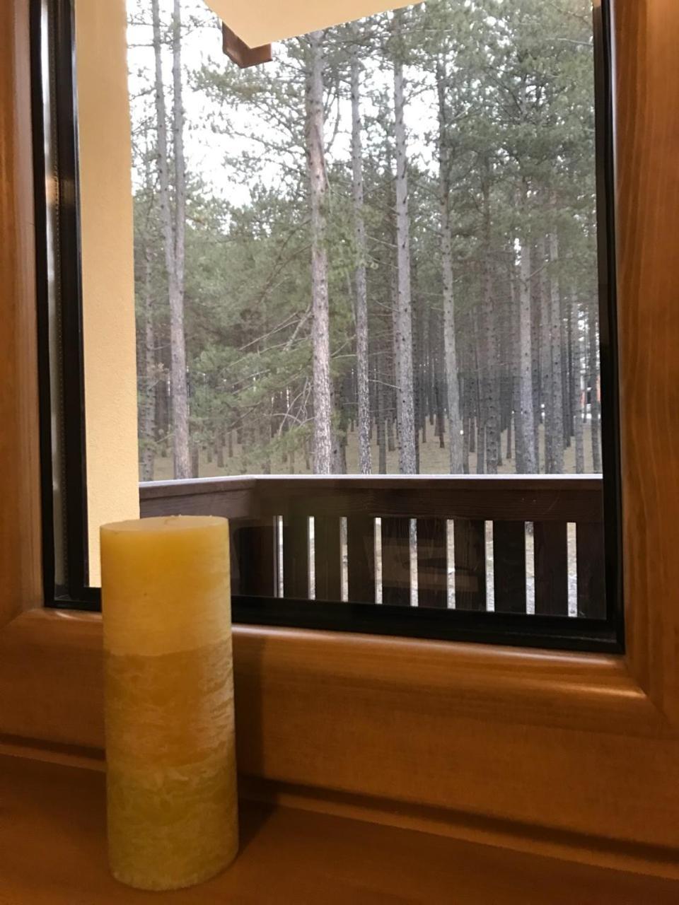 Zlatibor Apartmani Jakovljevic Zewnętrze zdjęcie