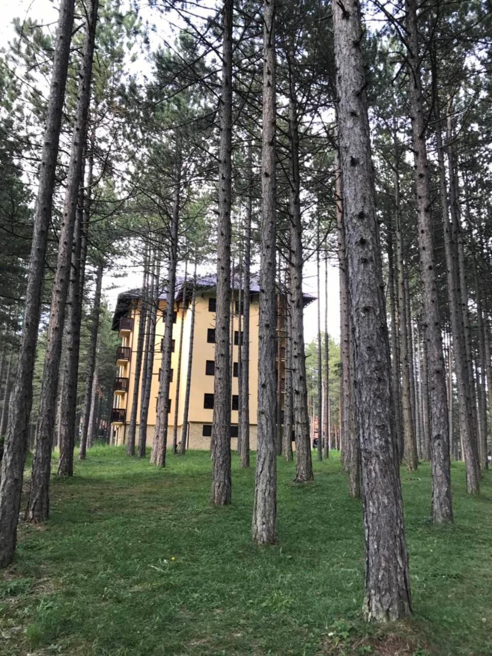 Zlatibor Apartmani Jakovljevic Zewnętrze zdjęcie